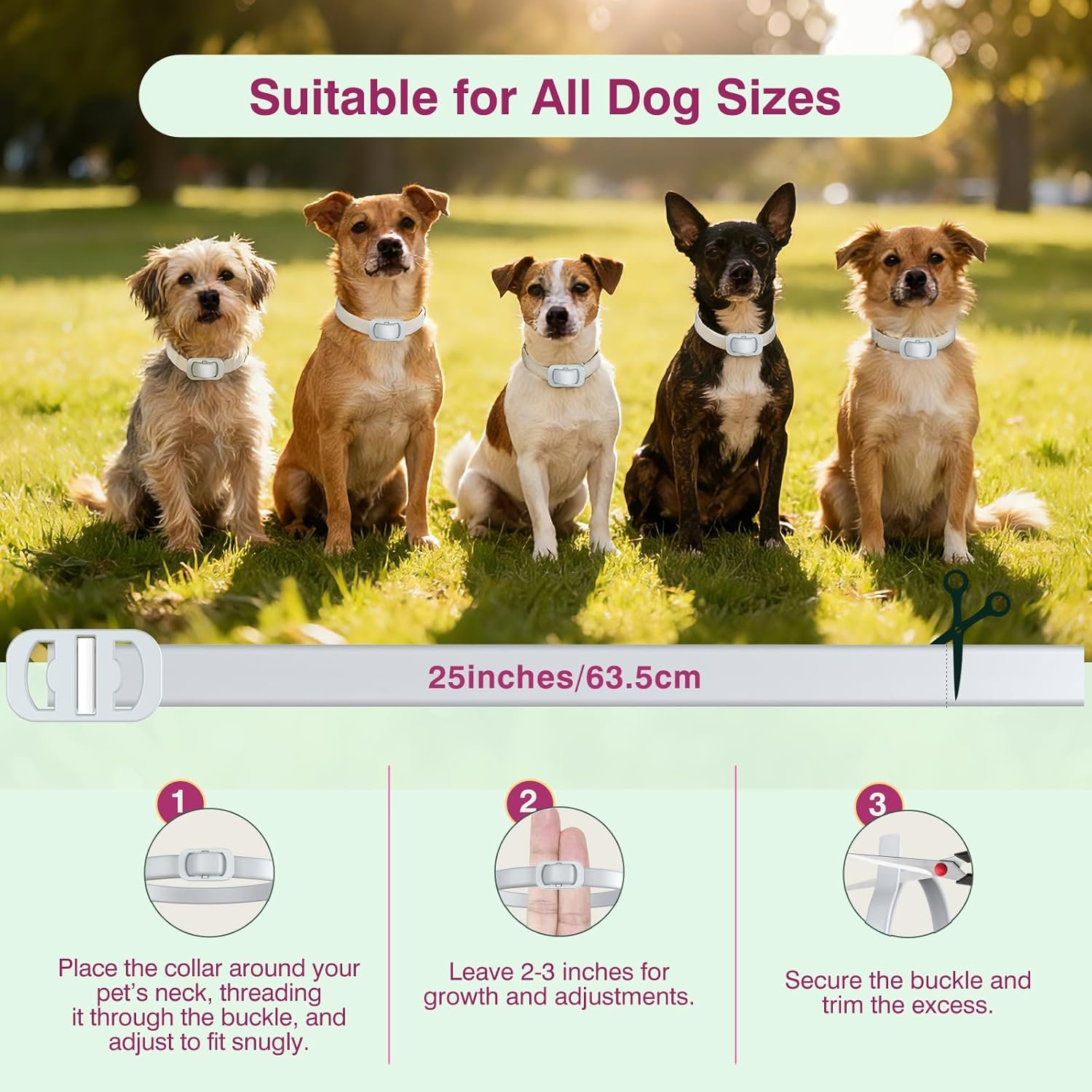 Natural Flea and Tick Collar for Dogs - 4 Pack, 8 Months Long-Lasting Protection, Waterproof, Adjustable Size for Small Medium and Large Dog - Image 3