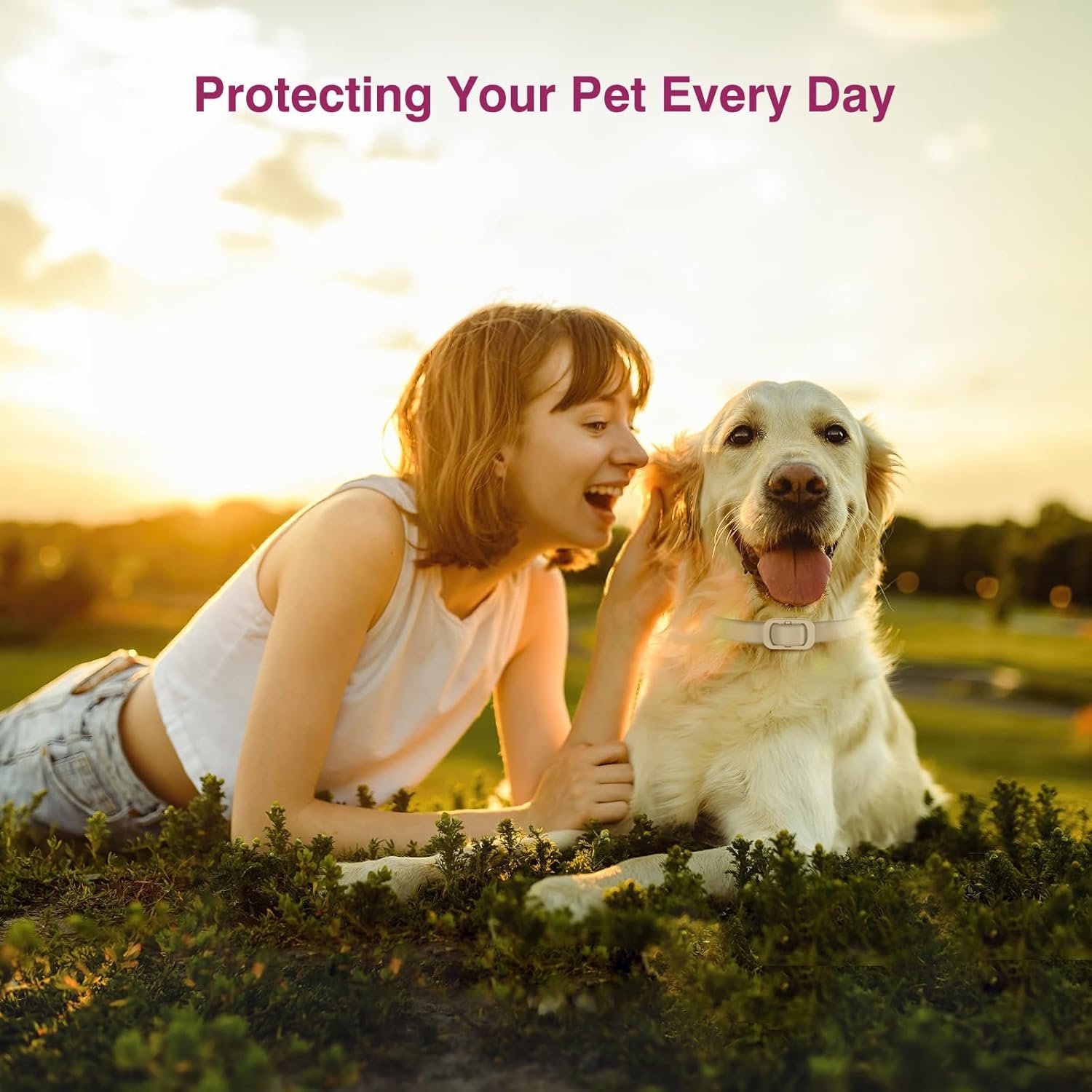 Natural Flea and Tick Collar for Dogs - 4 Pack, 8 Months Long-Lasting Protection, Waterproof, Adjustable Size for Small Medium and Large Dog - Image 2